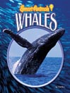 Whales